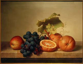 Nature morte de fruits sur une plaque de marbre